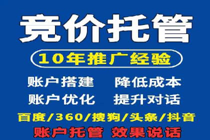 竞价广告的投放策略与效果评估——以一成功企业为例